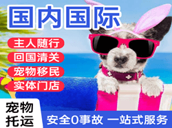 南宁吴圩航空托运国际宠物托运 【国